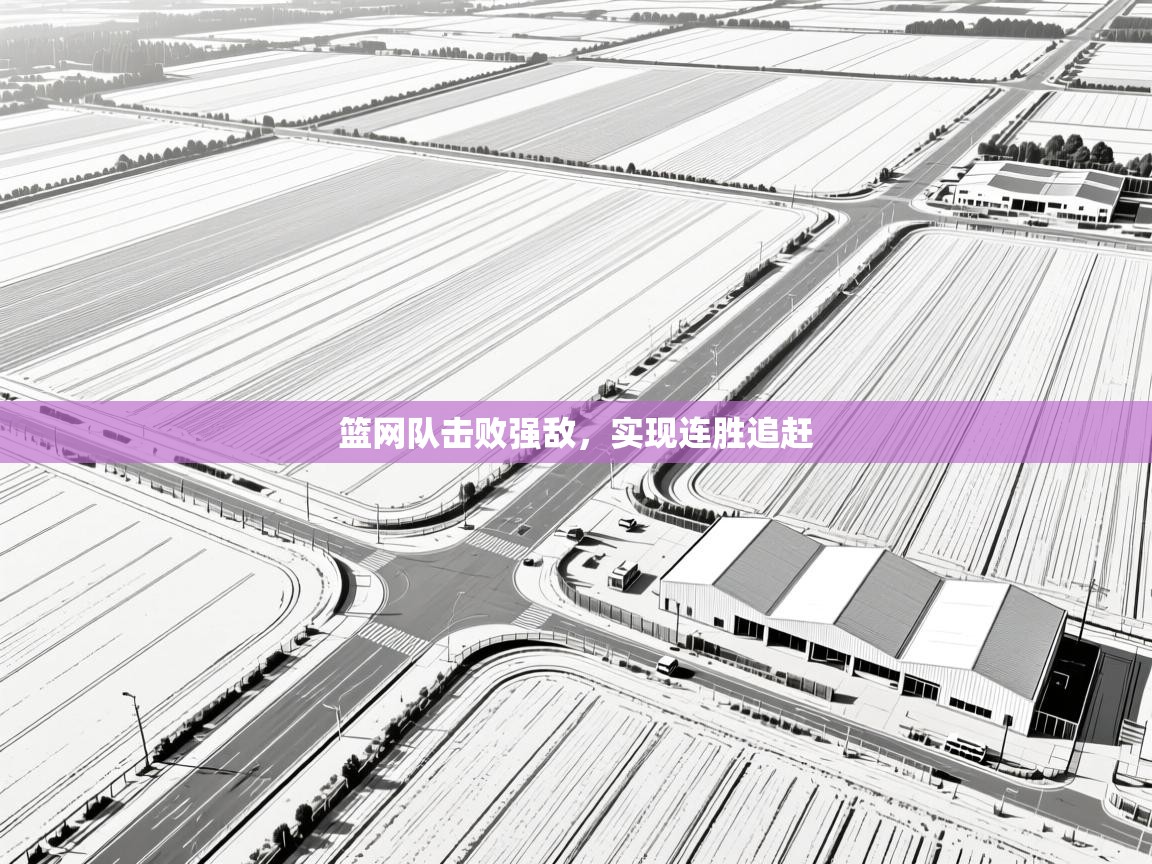 篮网队击败强敌,实现连胜追赶 第2张