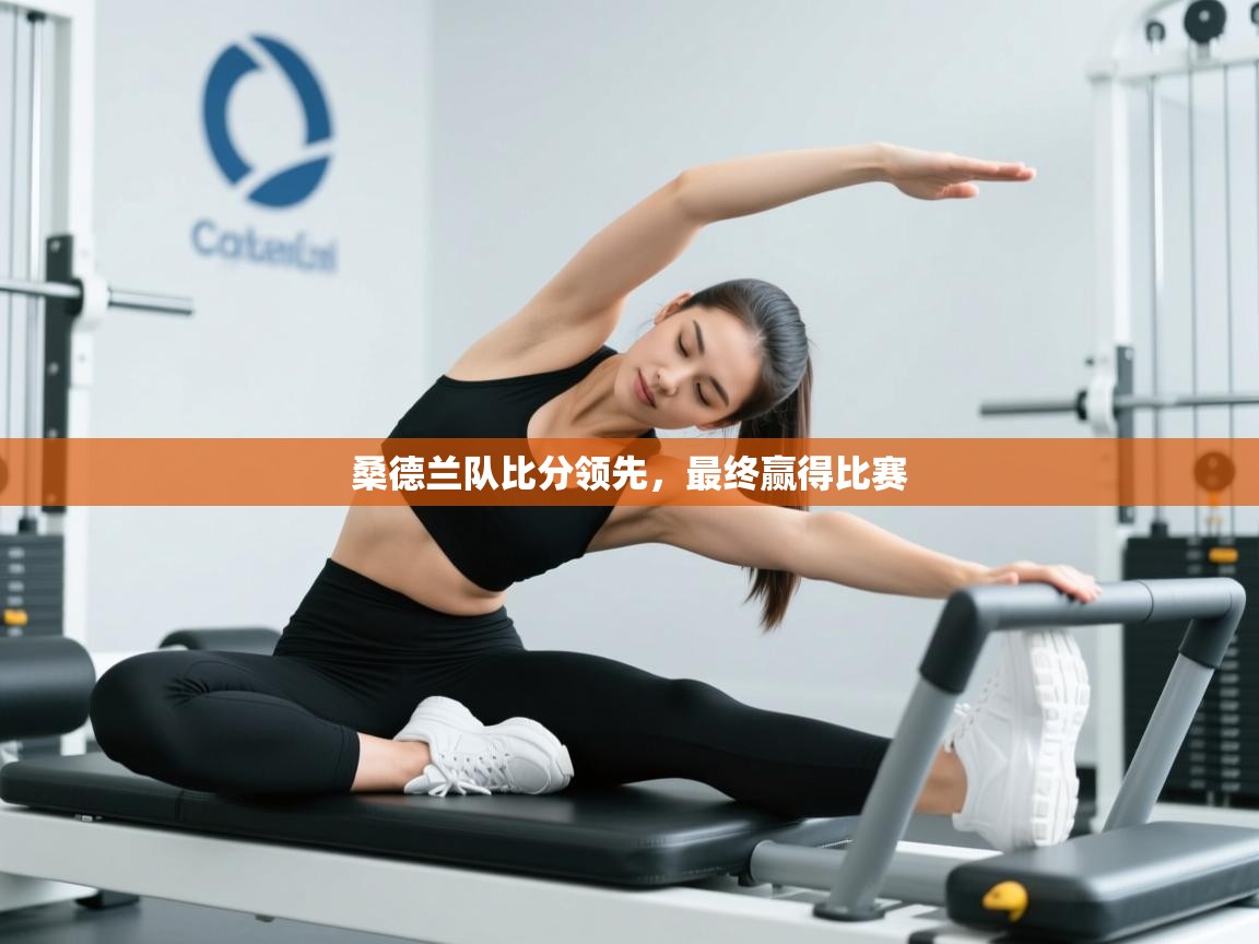 桑德兰队比分领先，最终赢得比赛  第2张