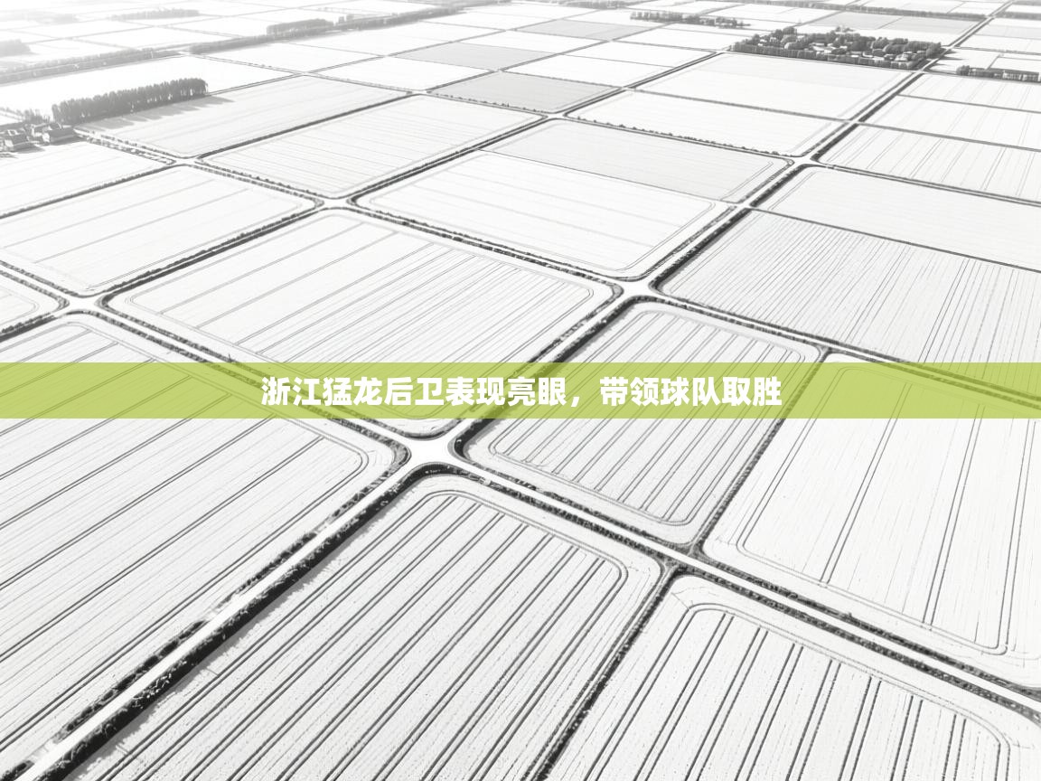 浙江猛龙后卫表现亮眼,带领球队取胜