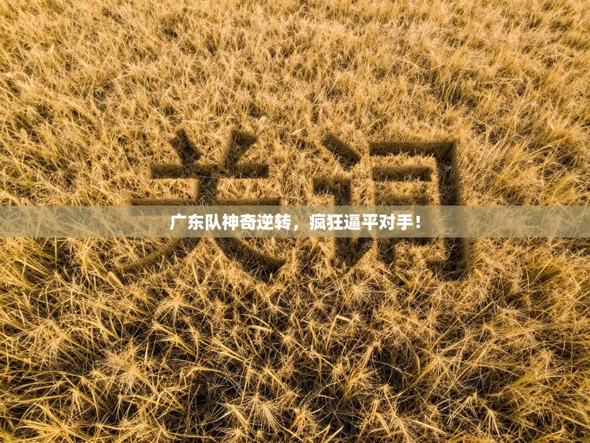 广东队神奇逆转，疯狂逼平对手！  第2张