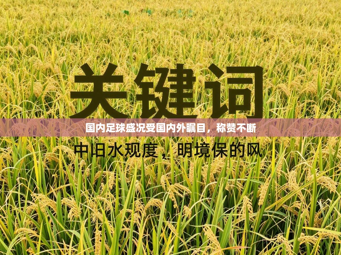 国内足球盛况受国内外瞩目,称赞不断 第1张