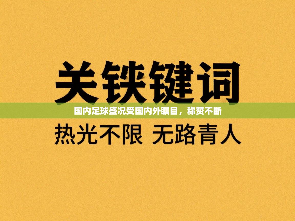 国内足球盛况受国内外瞩目,称赞不断 第2张
