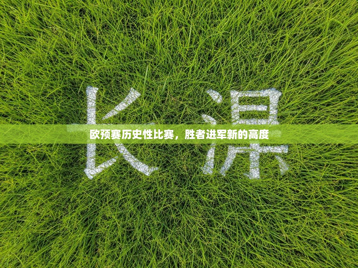 欧预赛历史性比赛，胜者进军新的高度  第1张